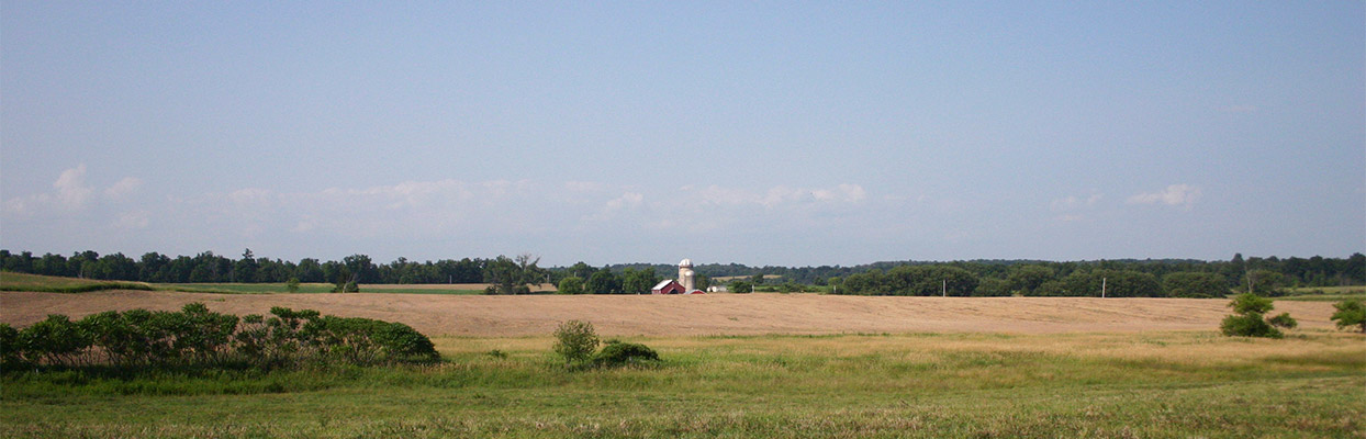 minden3
